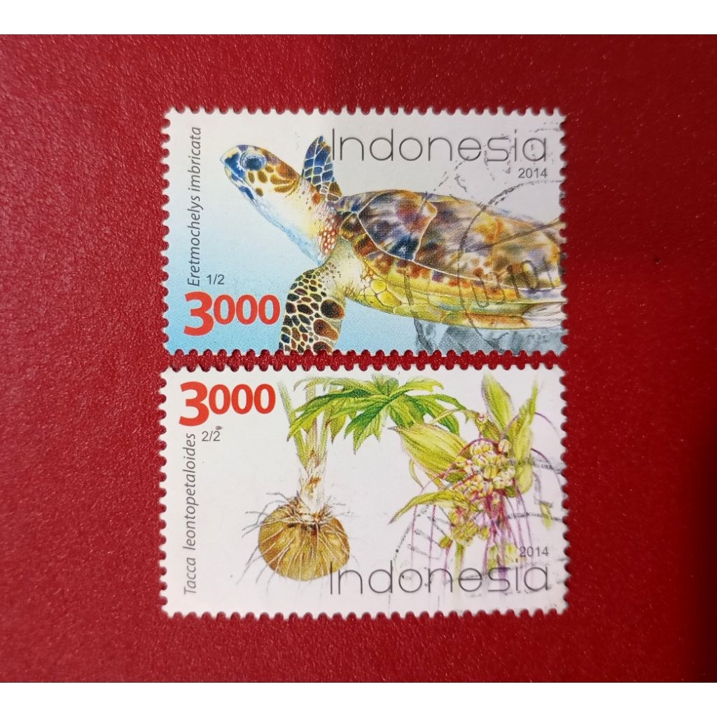 

PRANGKO INDONESIA FLORA DAN FAUNA