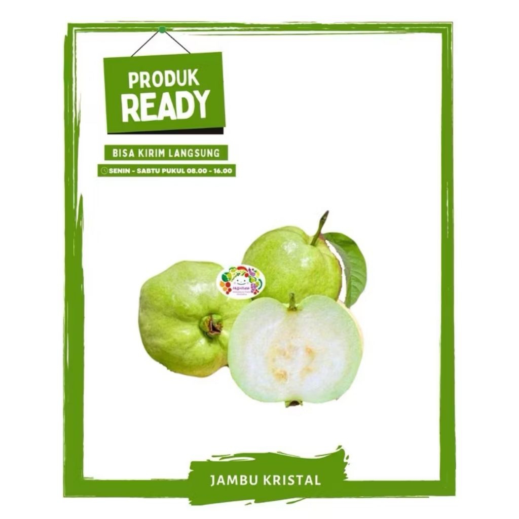 Jambu Kristal / Buah Buahan Segar On Mallahrizwa