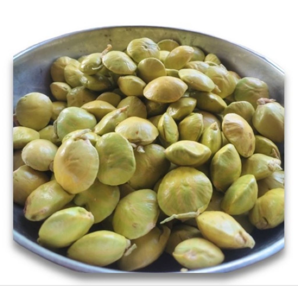 

jengkol muda sudah kupas 100gr & 200gr