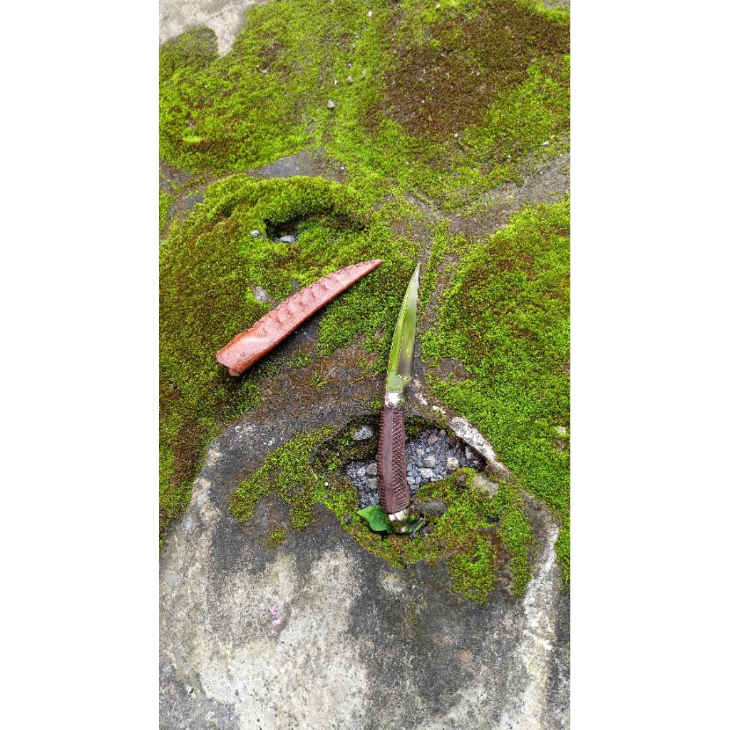 pisau stek pisau outdoor pisau okulasi pisau kecil pisau raut baja hss