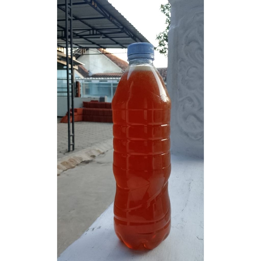 

madu murni