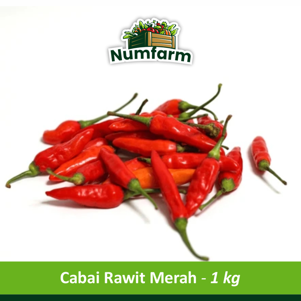 

Numfarm | Cabai / Cabe Rawit Merah (per 1 kg)