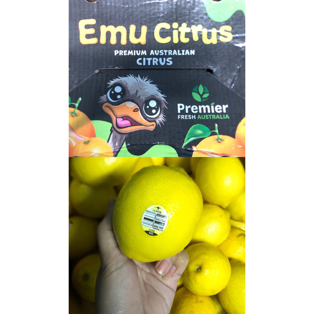 

Jeruk Lemon Australia Emu Citrus /kg