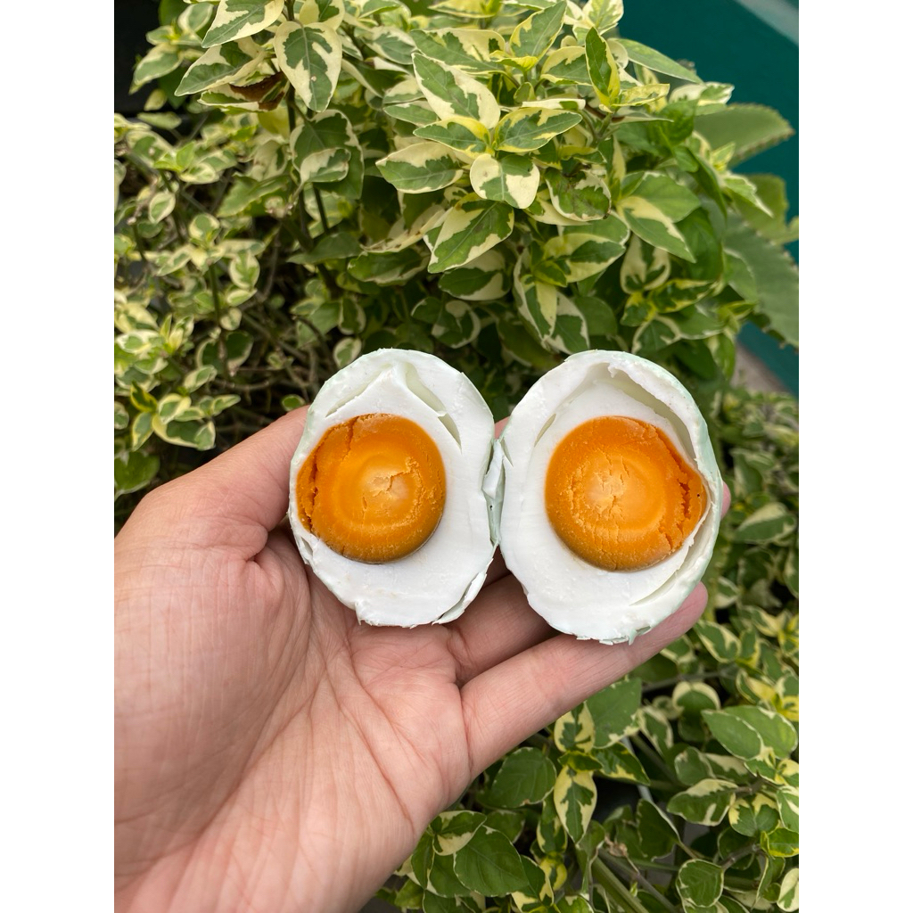 

Telur Asin murah ukuran kecil isi 10 butir masir paling laris