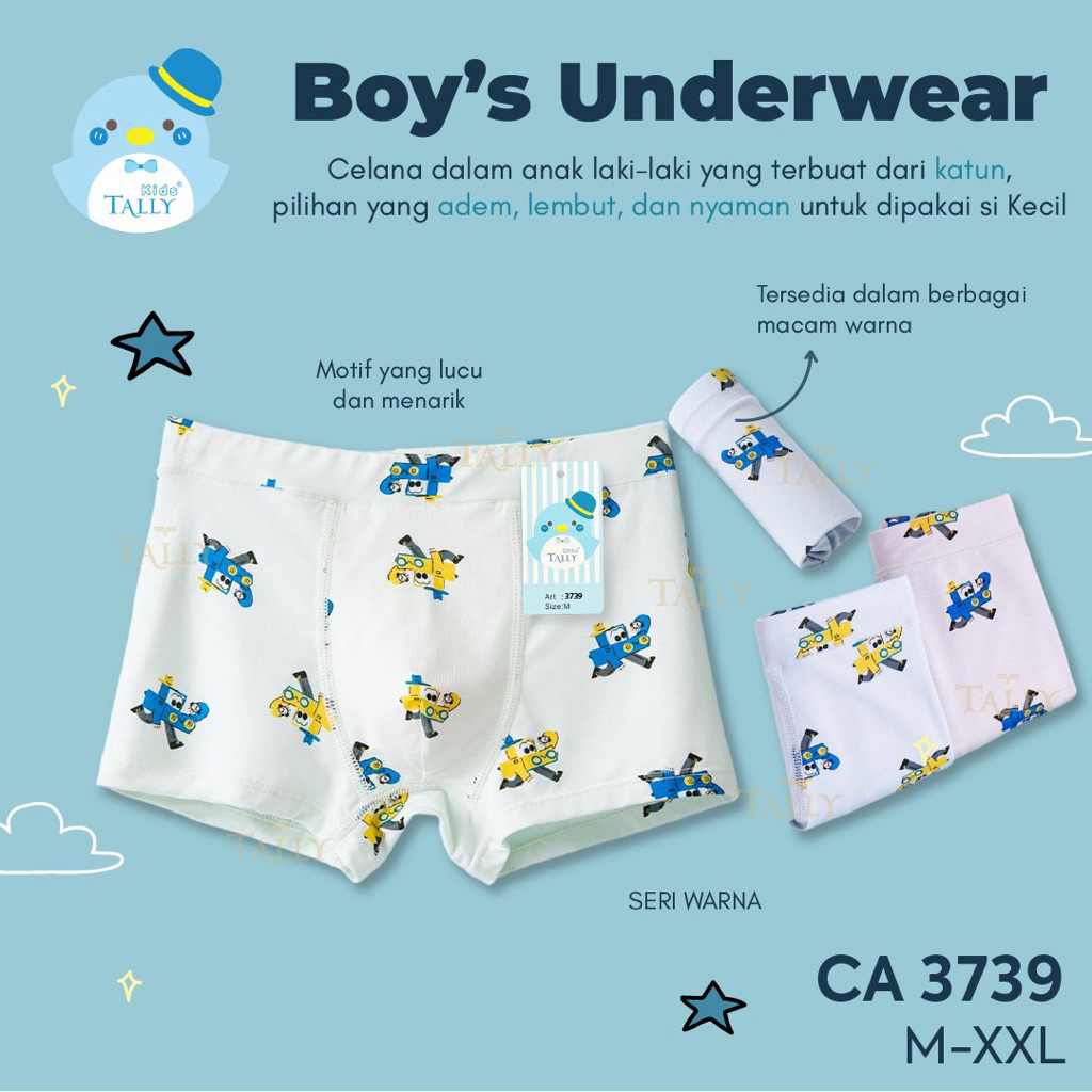 TALLY 3739 CELANA DALAM BOXER ANAK LAKI - LAKI