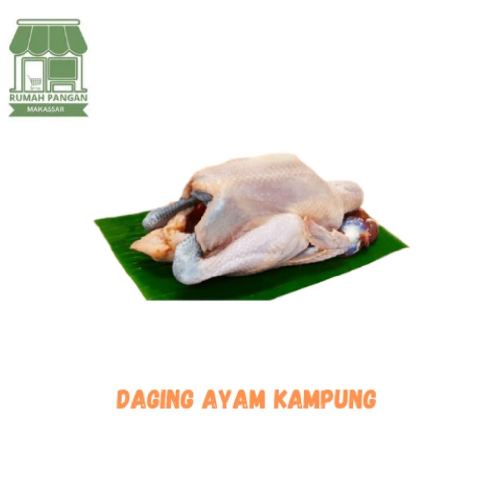 

Karkas Ayam kampung