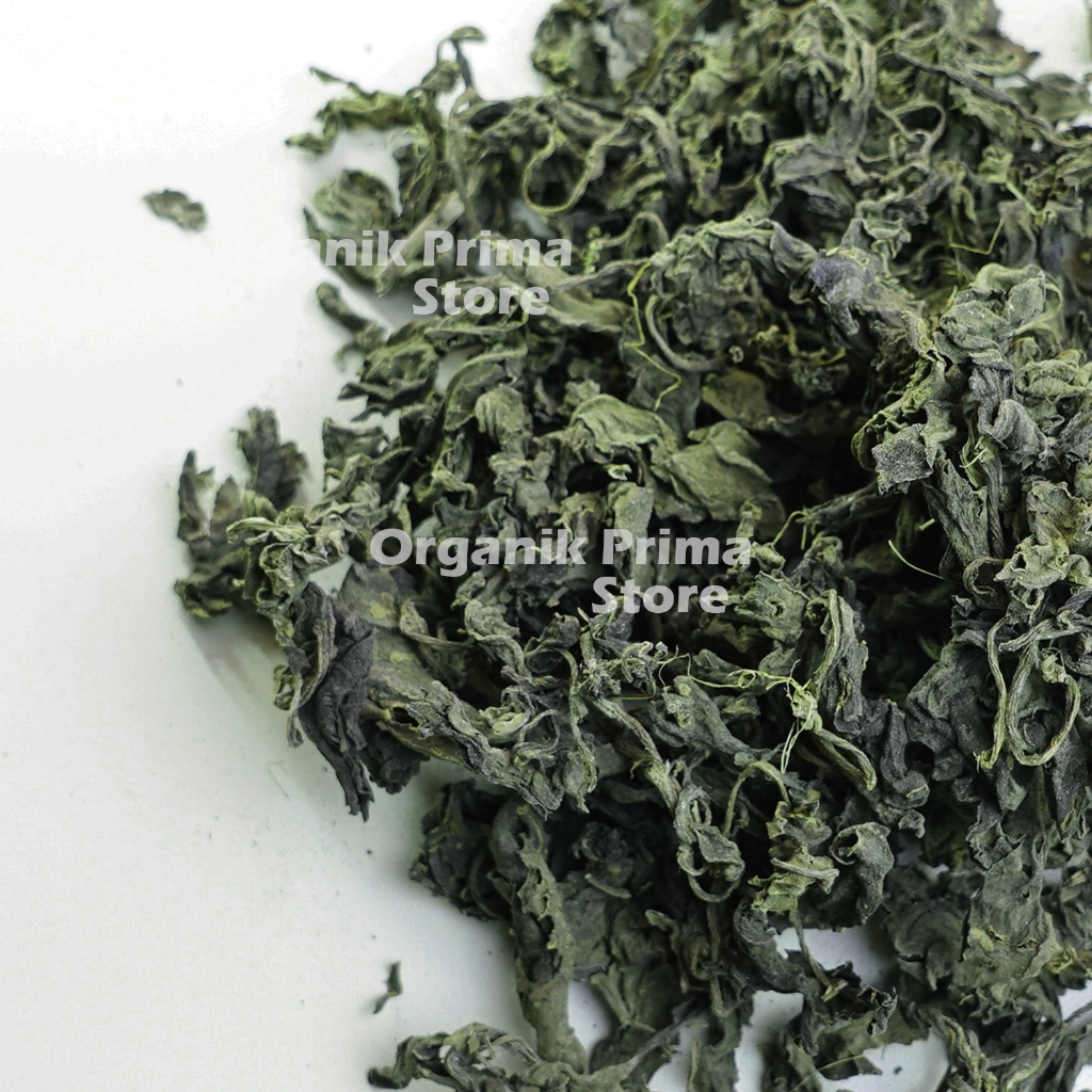 

Daun Sambung Nyowo 250gr Nyawa Kering Asli Bersih dan Organik