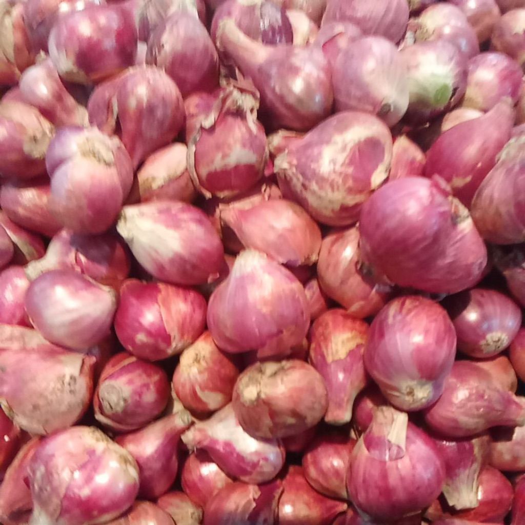 

bawang merah pilihan 1kg