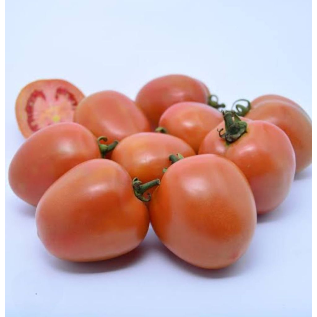 

Tomat Merah Segar Per 500gram