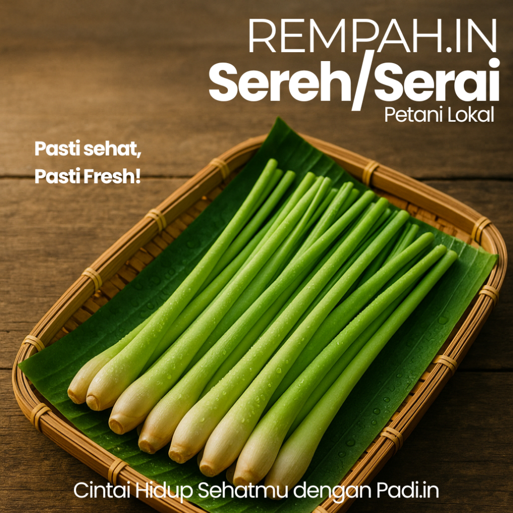 

Sereh Segar (Serai) - 1 Kg - Bumbu Masakan dan Aromaterapi Berkualitas Tinggi - Pilihan Terbaik