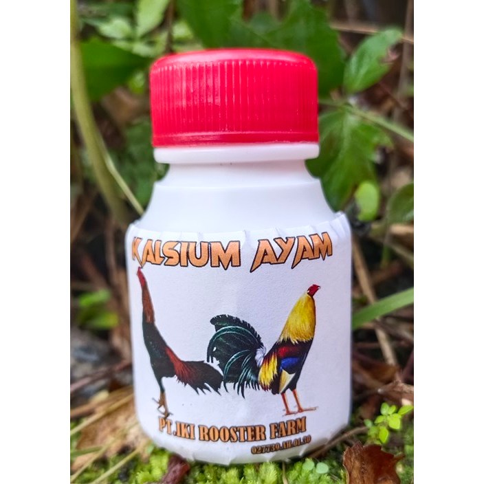 50 kalk kalsium ayam . kalk ayam . obat menguatkan tulangan ayam . kalsium ayam