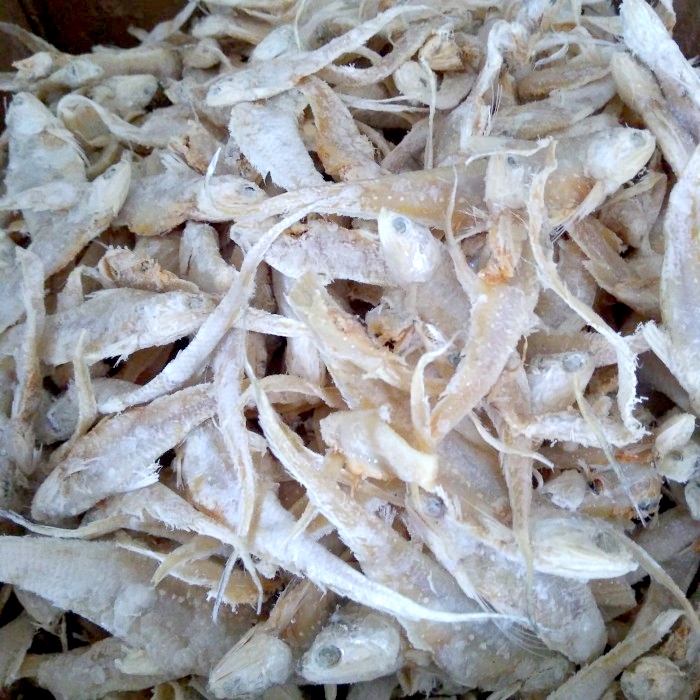 

Ikan asin bulu ayam