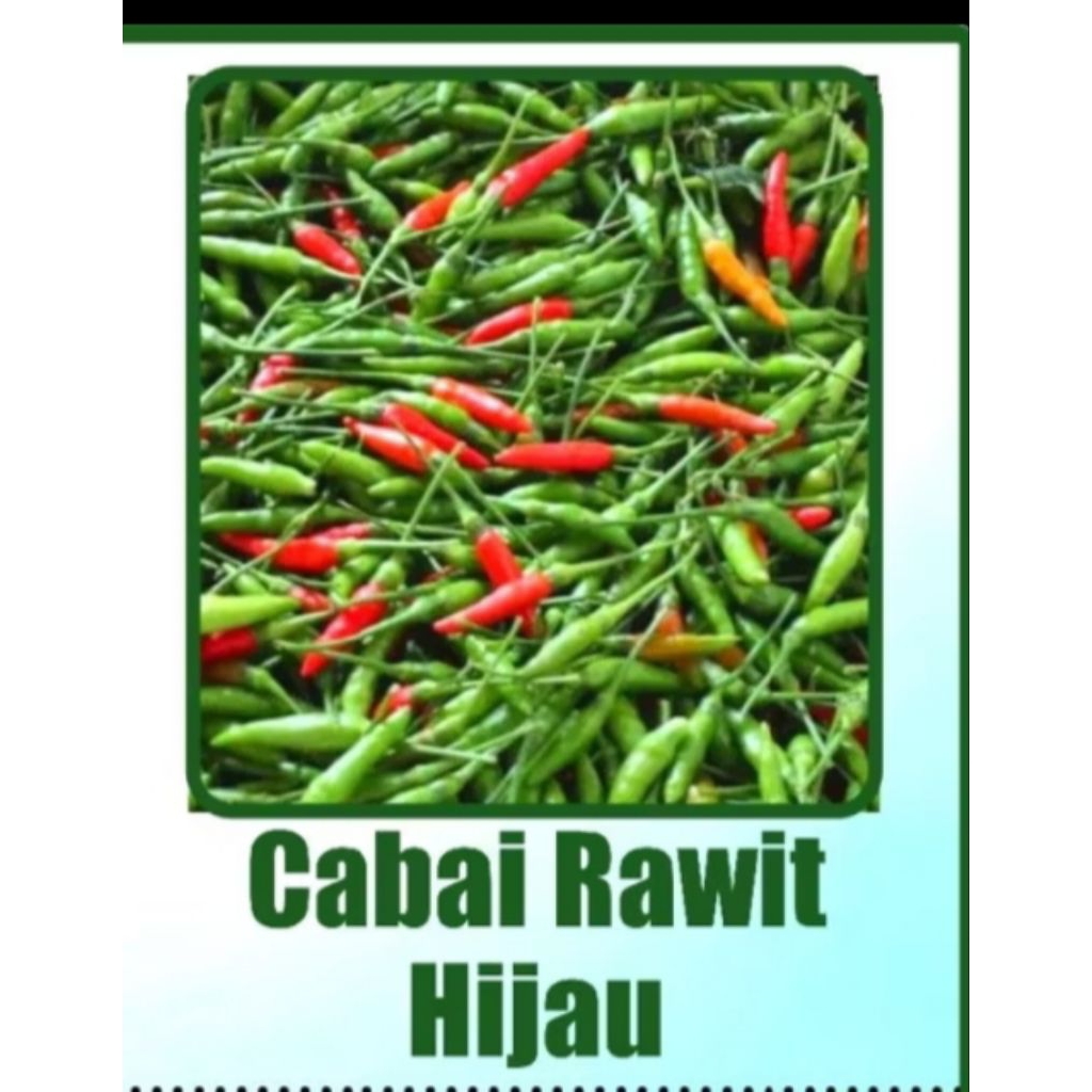 

cabe rawit hijau 50 biji