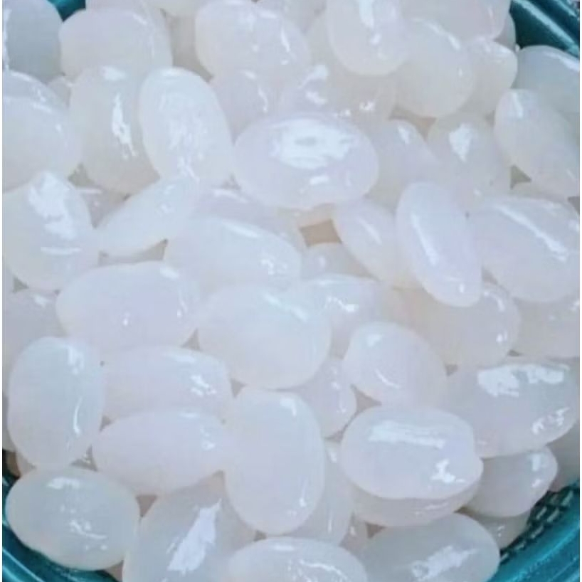 

kolang kaling fresh harga glosir 50kg