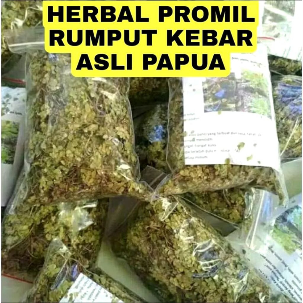 RUMPUT KEBAR HERBAL PROMIL PCOS