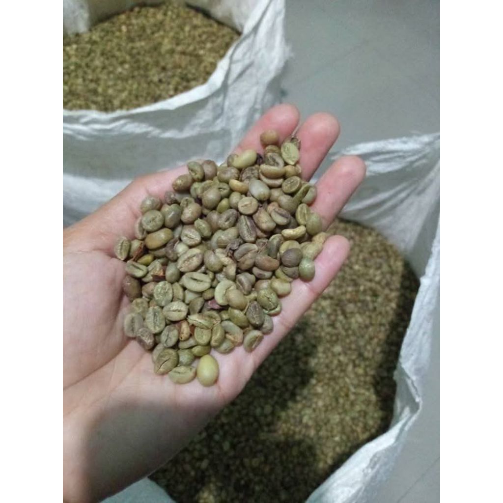 

Kopi Robusta 1Kg Green Bean Coffee /Biji Kopi Argopuro