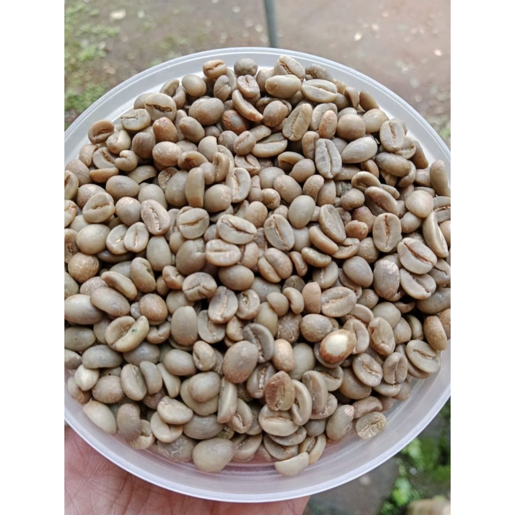 

GREEN BEAN ARABIKA SEMERU G1