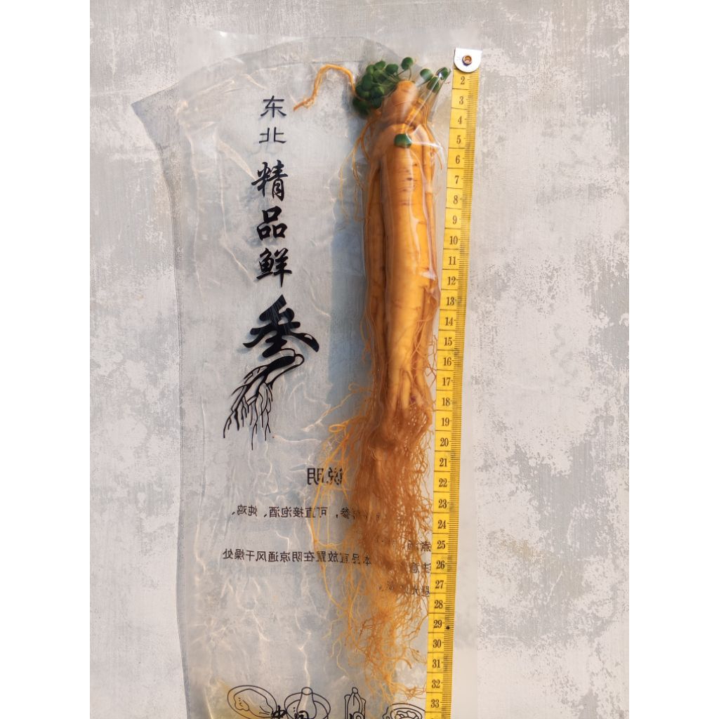 

Ginseng Besar ( 200gr ) Import Original Kemasan Vakum Jaminan Masih Segar dan Fresh