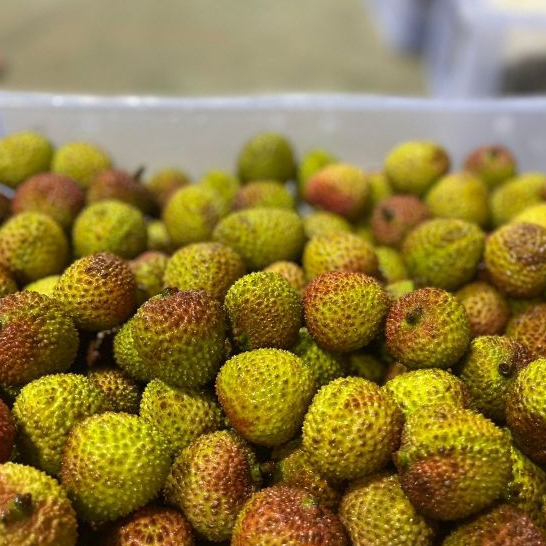 

Lychee Madu per box PROMOOOO Mix Kulit hitam