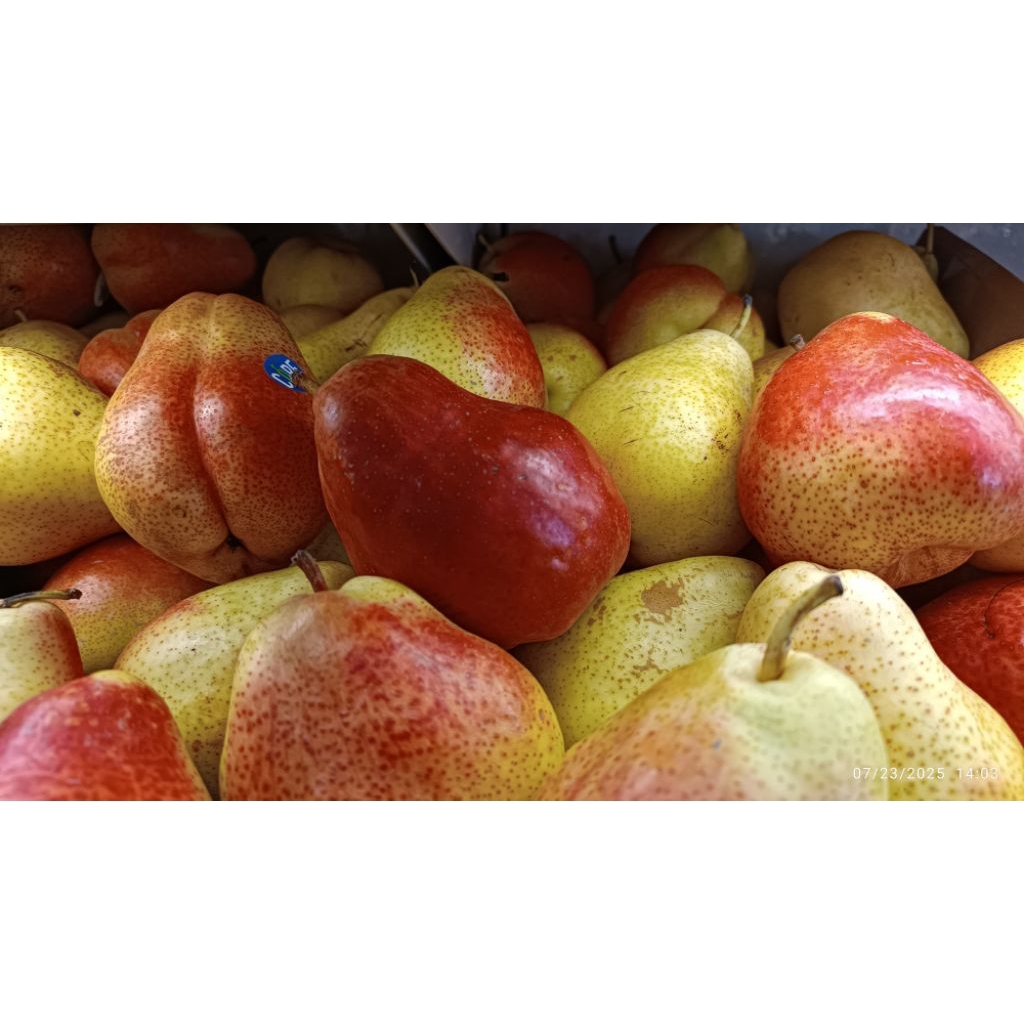 

pear forelle Australia/kg