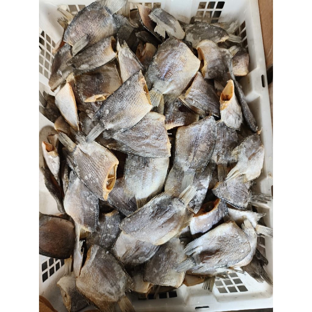 

ikan asin sepat besar