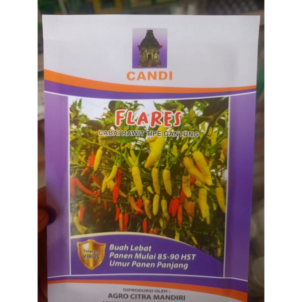 Benih Cabe Rawit Flares Candi Viral - 10 Gram