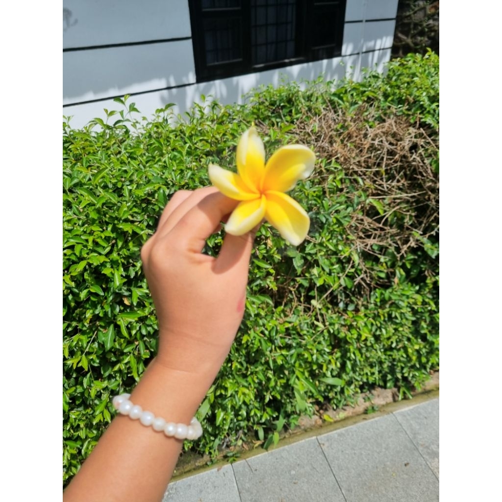 

RANGGINANG GULA AREN