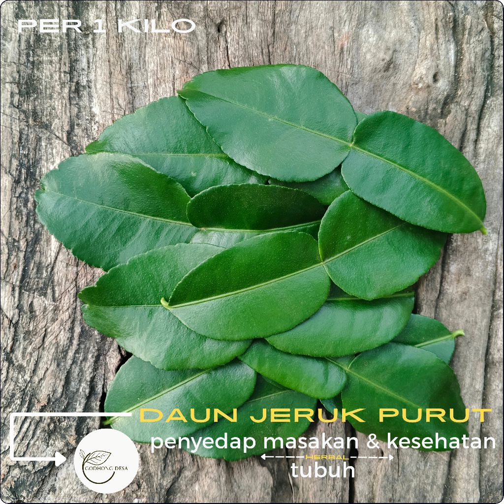 

Daun jeruk purut l bumbu dapur l rempah 1kg