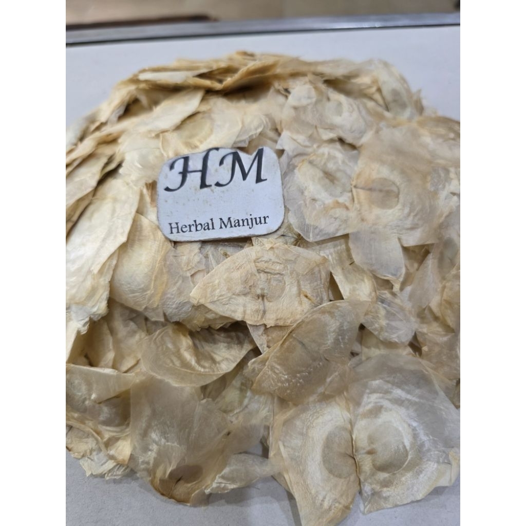 

Qian Zhang Zhi / Mu Hu Die / Oroxylum indicum