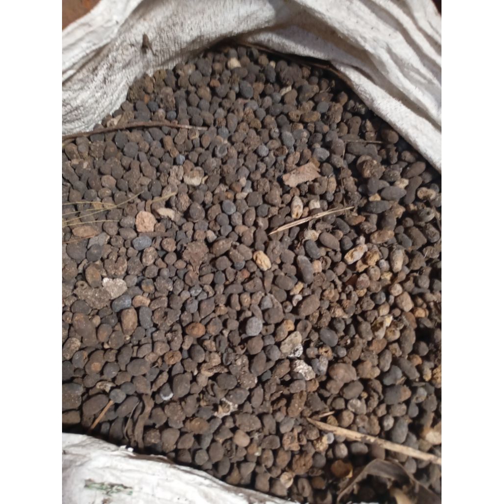 pupuk kompos/pupuk kandang/kohe kambing