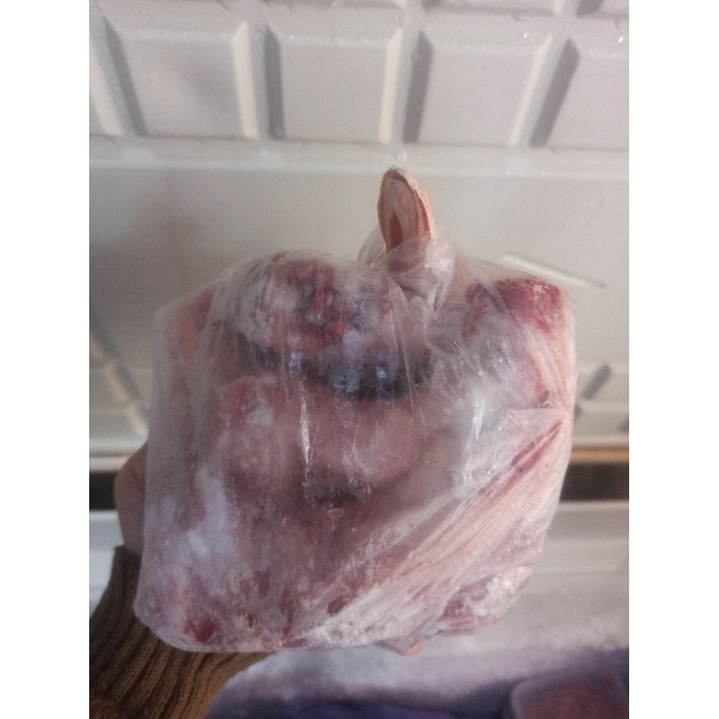 

Titik Frozen | Kepala bebek isi 10