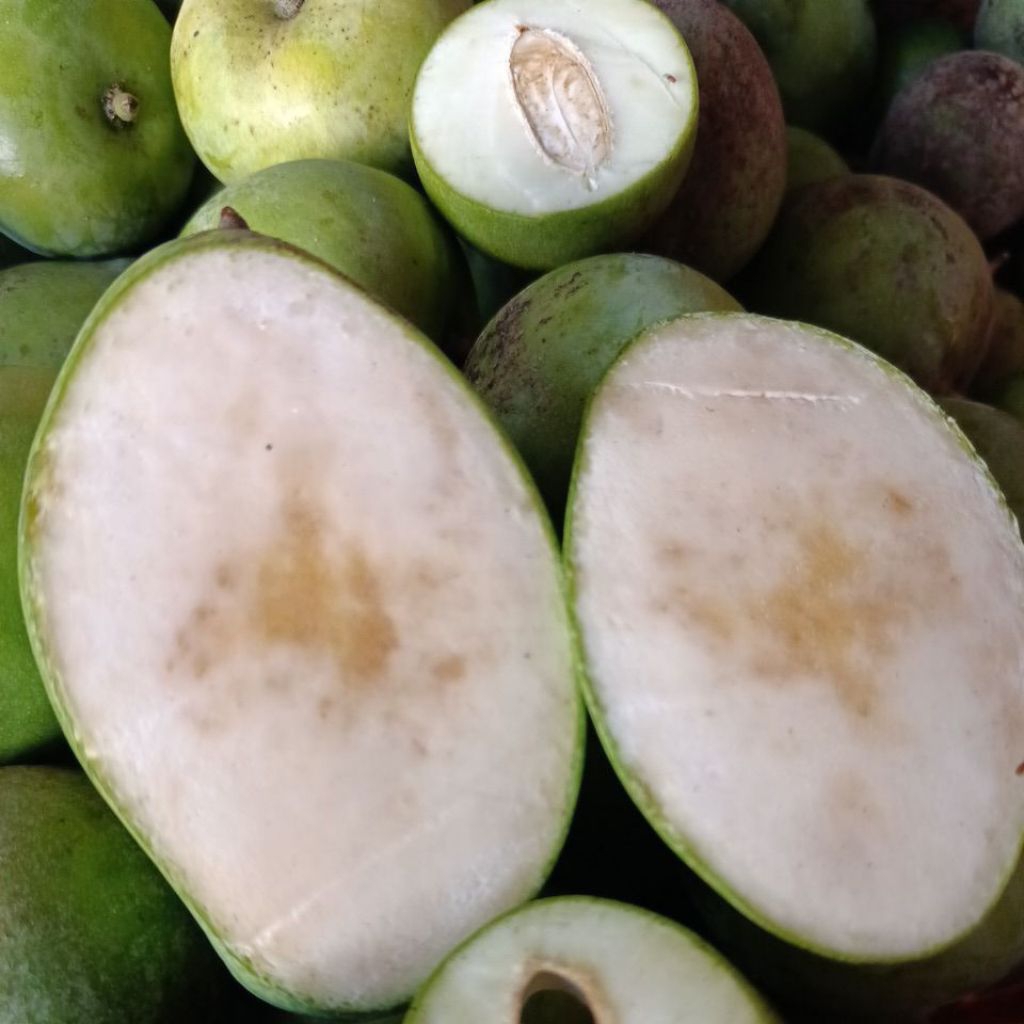 

Mangga manalagi tua 1 kg manis