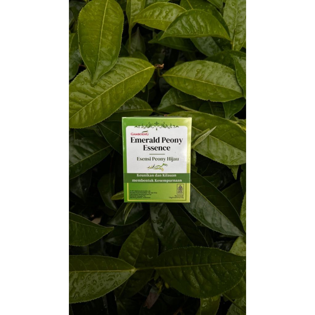 

Emerald Peony Essence Box