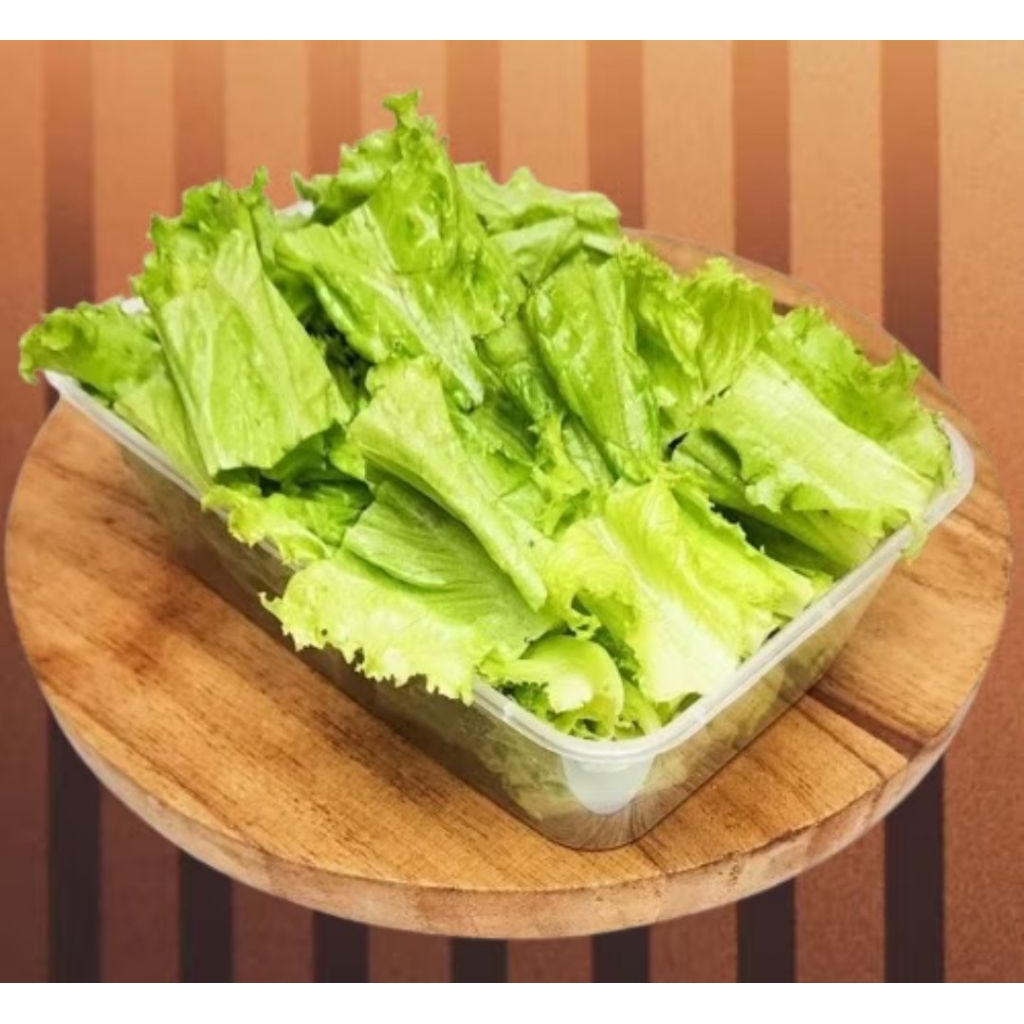 

Sayur selada keriting potong..