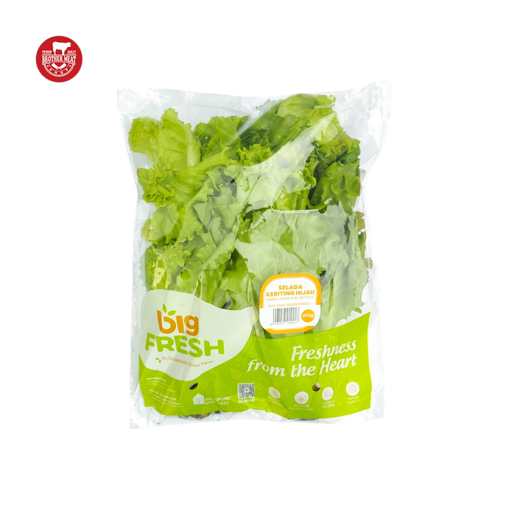 

Big Fresh Selada Keriting Hijau Fresh 250gr - Brothermeatshop