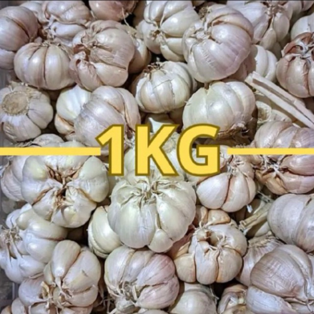 

BAWANG PUTIH SUPER 1KG/BAWANG PUTIH MURAH/BAWANG PUTIH FRESH SEGAR/BAWANG PUTIH SINCO KUALITAS BERSIH