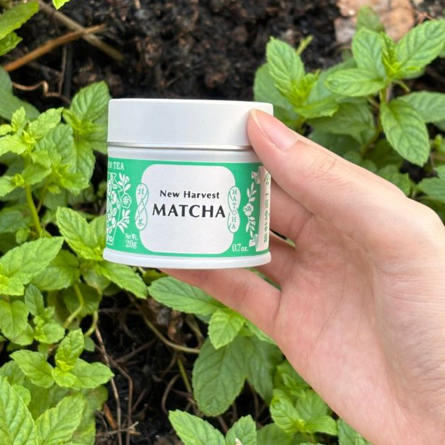 

[READY] IPPODO New Harvest MATCHA Tea 20 GR DIRECT FROM JAPAN