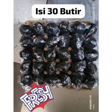 

TELUR ASIN BEBEK MENTAH SEKAM BAKAR ISI 30 BUTIR