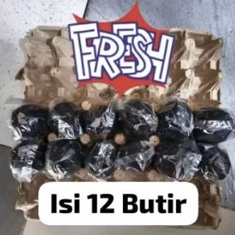 

TELUR ASIN BEBEK MENTAH SEKAM BAKAR ISI 12 BUTIR