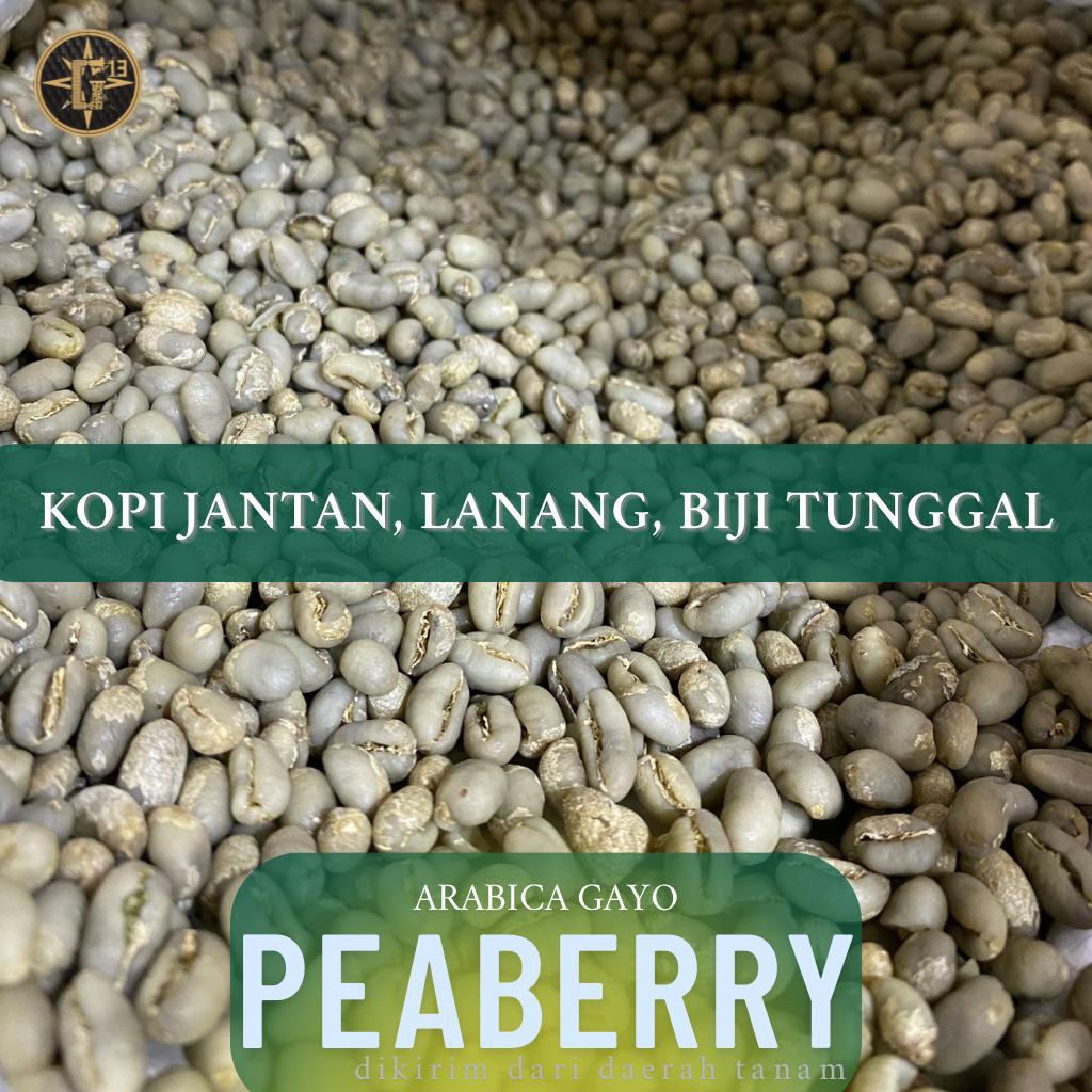 

KOPI GAYO GREEN BEAN PEABERRY ARABICA ACEH KOPI ARABIKA LANANG JANTAN BIJI TUNGGAL