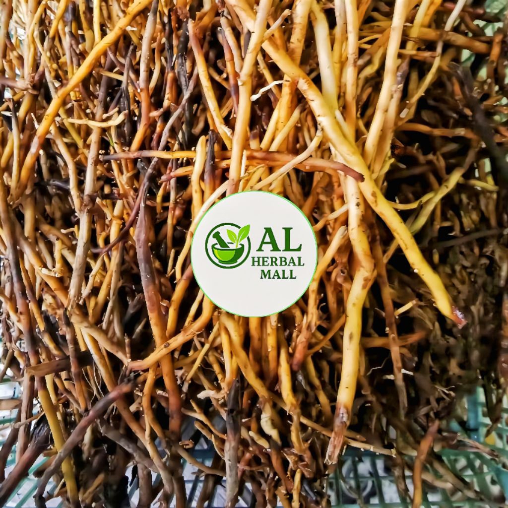 

Akar Pohon Aren Segar Fres Steril 1Kg