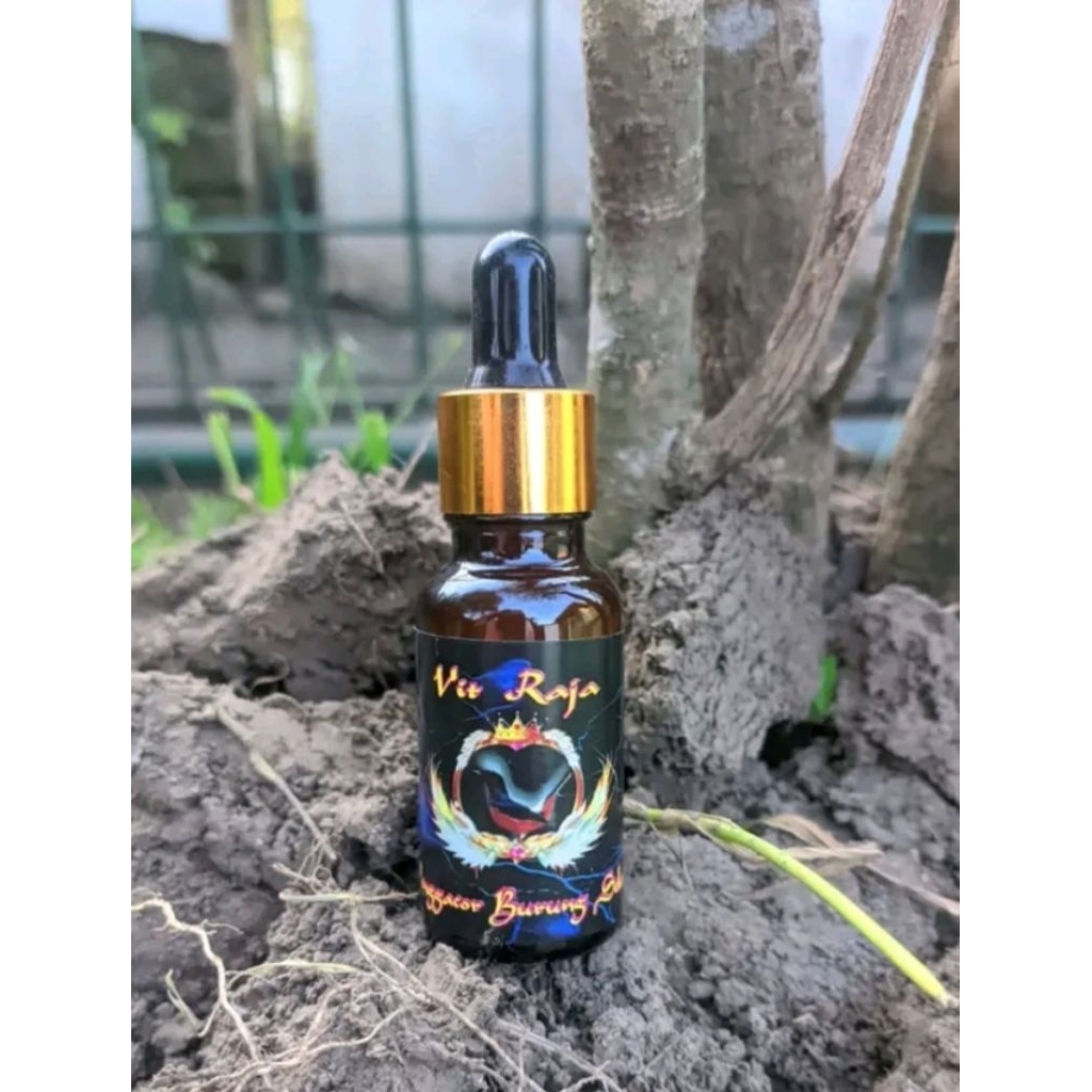 vitamin penggacor burung muray