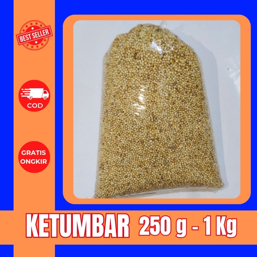 

KETUMBAR BUTIRAN PREMIUM – 250g s/d 1kg | Kualitas Super, Wangi Segar