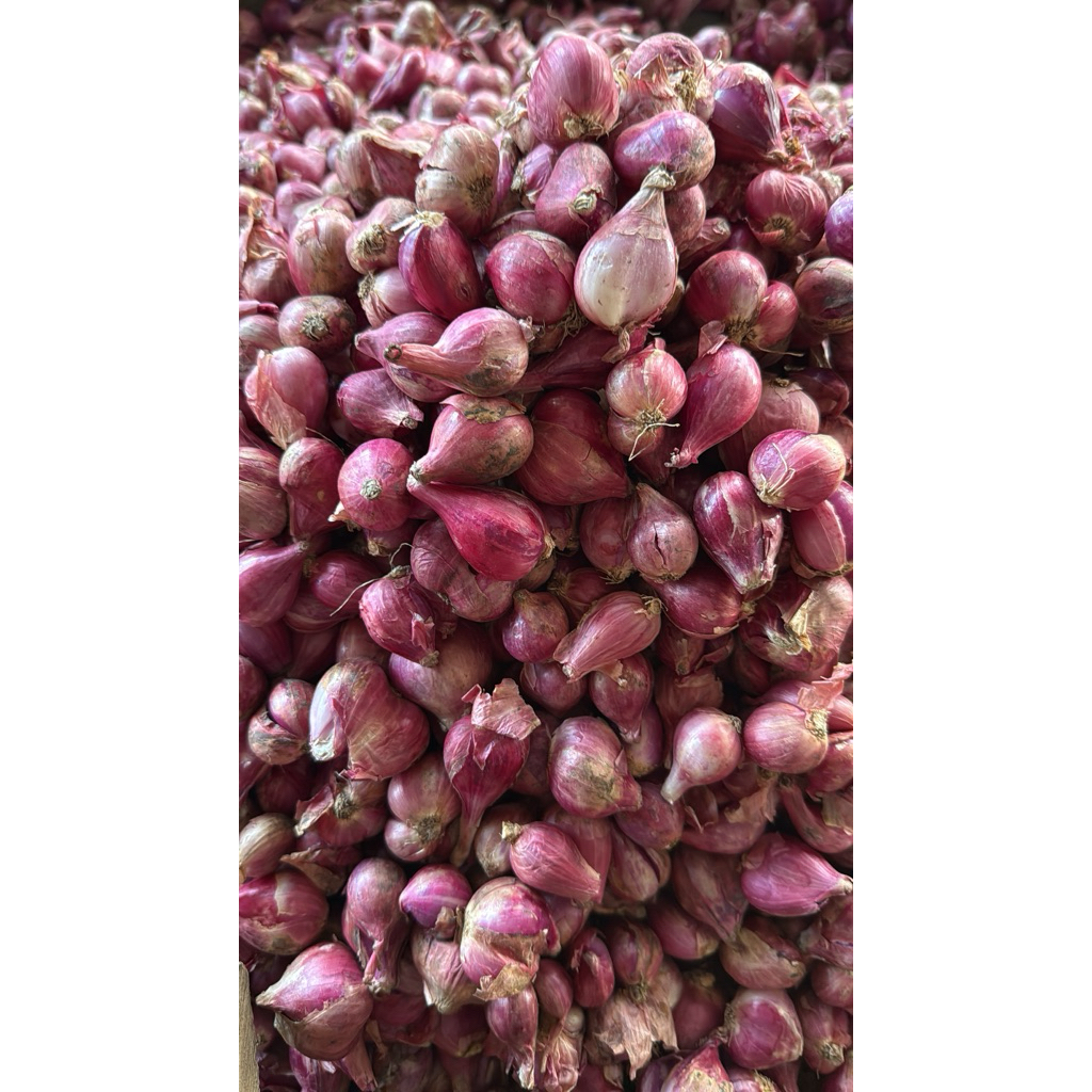 

bawang merah brebes superr