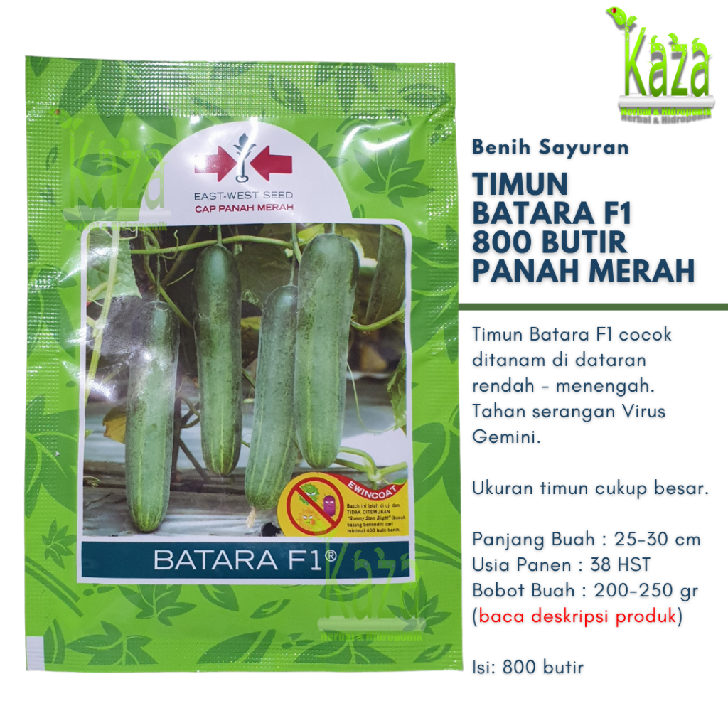 Timun Hibrida Batara F1 800 butir - Cap Panah Merah Mentimun Besar