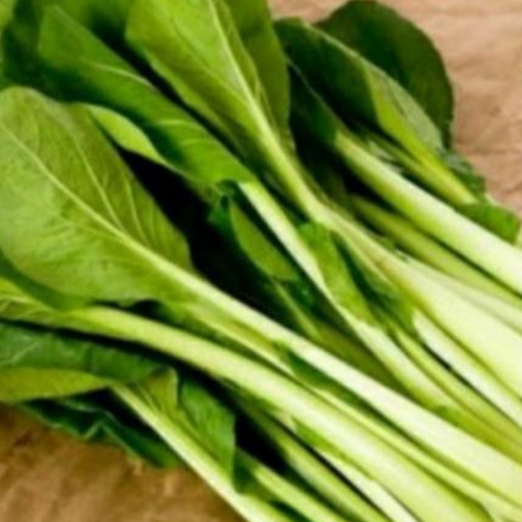 

sayur caisim 500gram