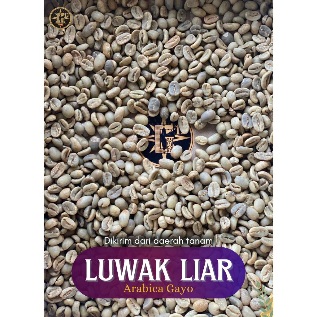 

KOPI GAYO ARABICA LUWAK LIAR KOPI ARABIKA ACEH GAYO GREEN BEANS 1 kg