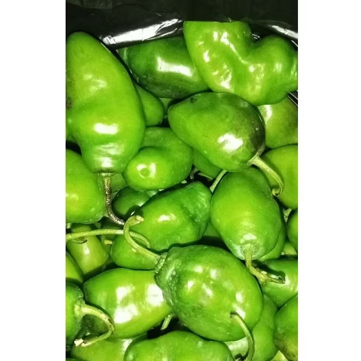 

Cabe gendot pres pedes dari petani Bandungg 250gram