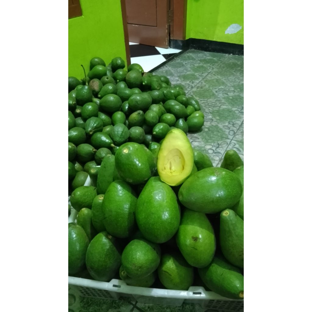 

alpukat mentega lokal 1kg isi 3