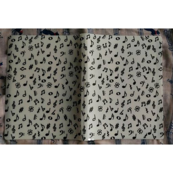 

Musical Symbols Clear Folder 20